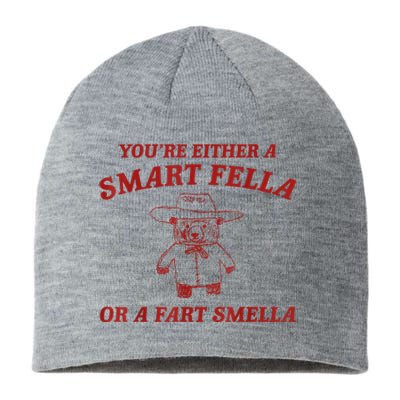 YouRe Either A Smart Fella Or A Fart Smella Sustainable Beanie