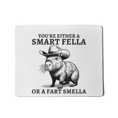 YouRe Either A Smart Fella Or A Fart Smella Funny Sarcastic Mousepad