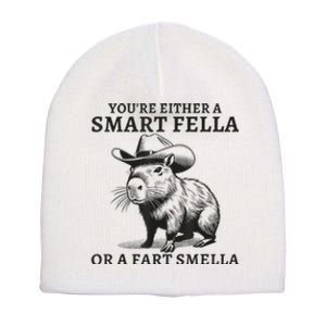 YouRe Either A Smart Fella Or A Fart Smella Funny Sarcastic Short Acrylic Beanie