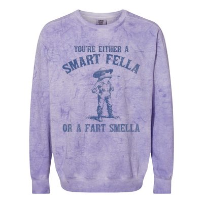 YouRe Either A Smart Fella Or A Fart Smella Colorblast Crewneck Sweatshirt