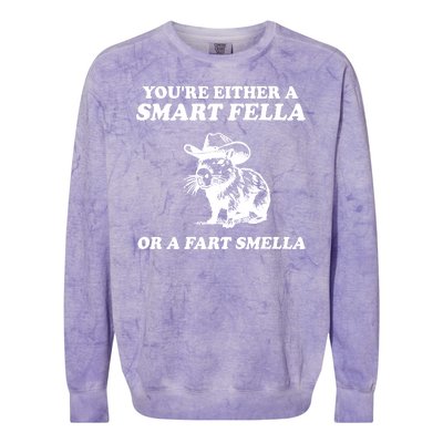 Youre Either A Smart Fella Or A Fart Smella Funny Colorblast Crewneck Sweatshirt