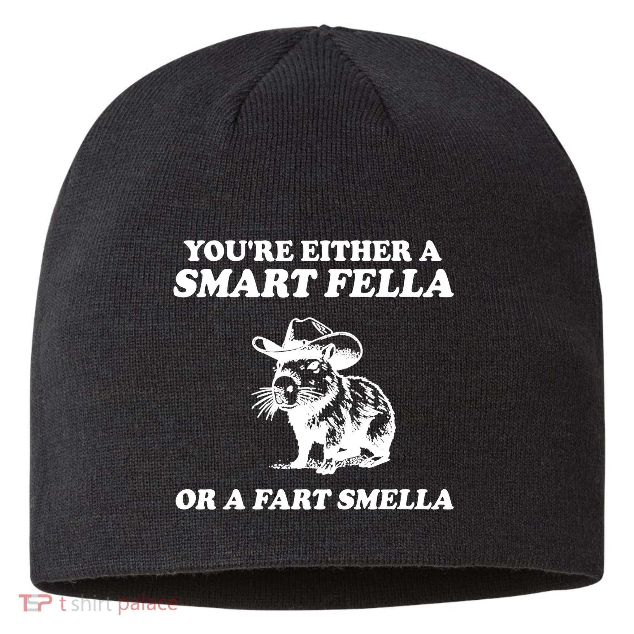 Youre Either A Smart Fella Or A Fart Smella Funny Sustainable Beanie