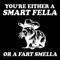 Youre Either A Smart Fella Or A Fart Smella Funny Sustainable Beanie