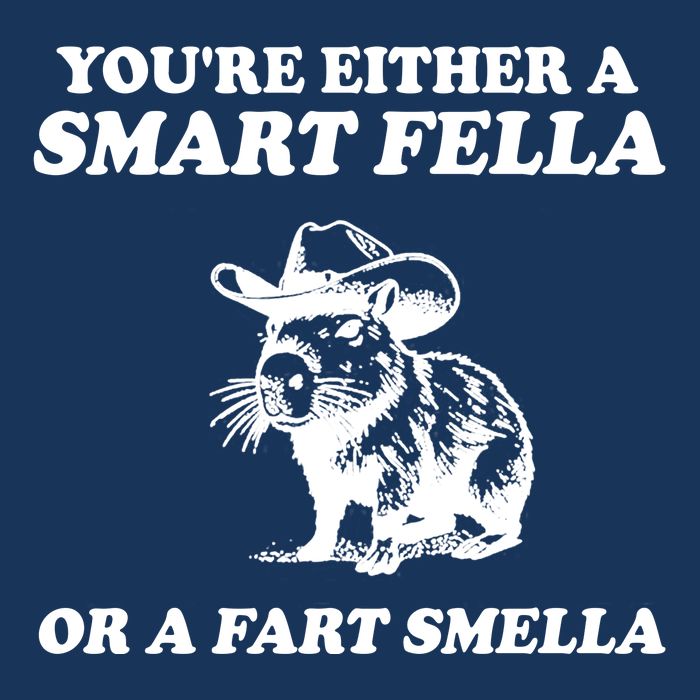 Youre Either A Smart Fella Or A Fart Smella Funny Infant Baby Jersey Bodysuit