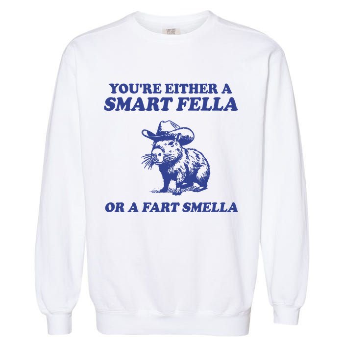 Youre Either A Smart Fella Or A Fart Smella Funny Garment-Dyed Sweatshirt
