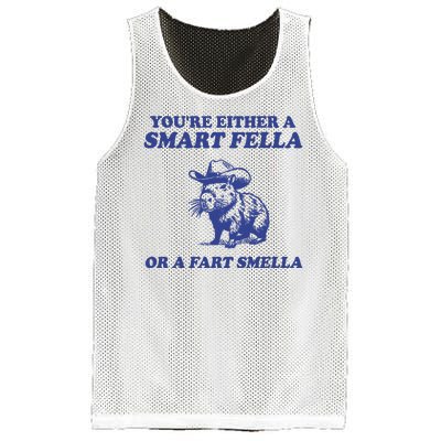 Youre Either A Smart Fella Or A Fart Smella Funny Mesh Reversible Basketball Jersey Tank