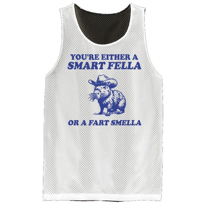 Youre Either A Smart Fella Or A Fart Smella Funny Mesh Reversible Basketball Jersey Tank