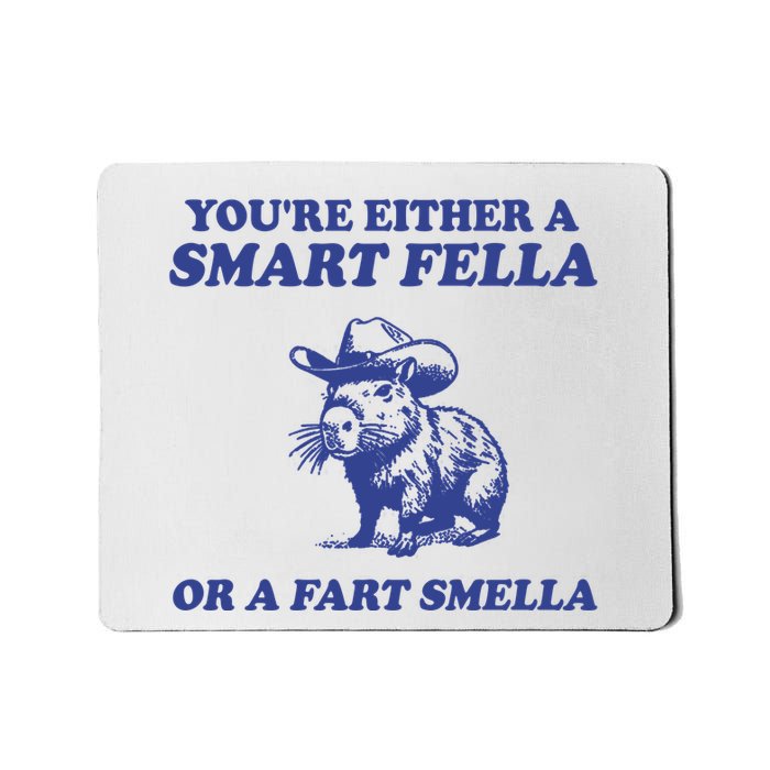 Youre Either A Smart Fella Or A Fart Smella Funny Mousepad