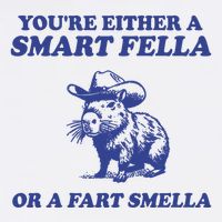 Youre Either A Smart Fella Or A Fart Smella Funny Mousepad