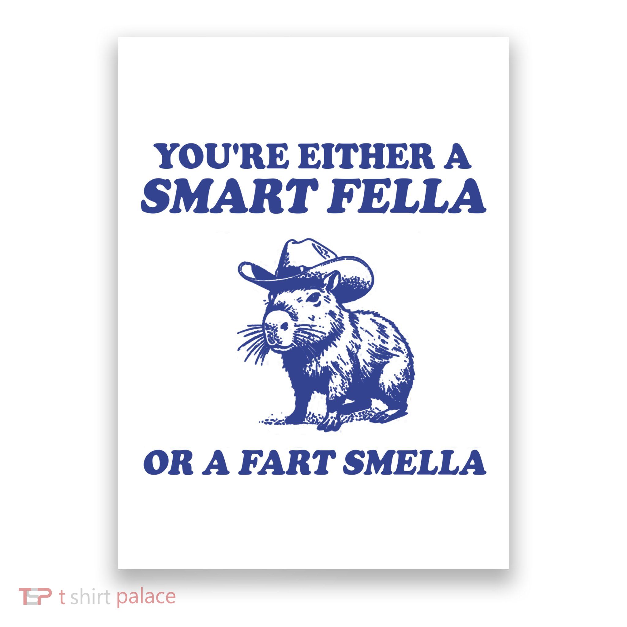 Youre Either A Smart Fella Or A Fart Smella Funny Poster