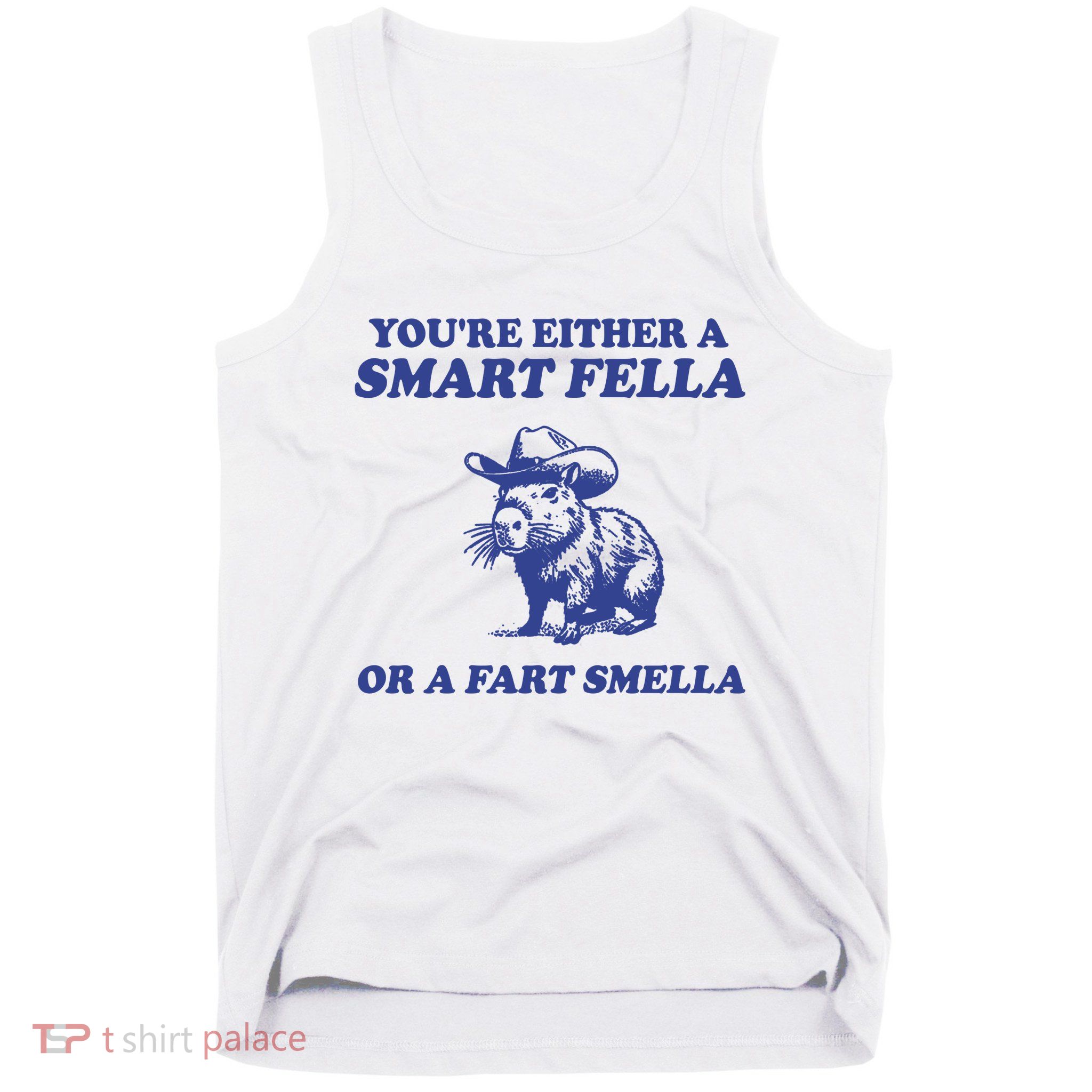 Youre Either A Smart Fella Or A Fart Smella Funny Tank Top