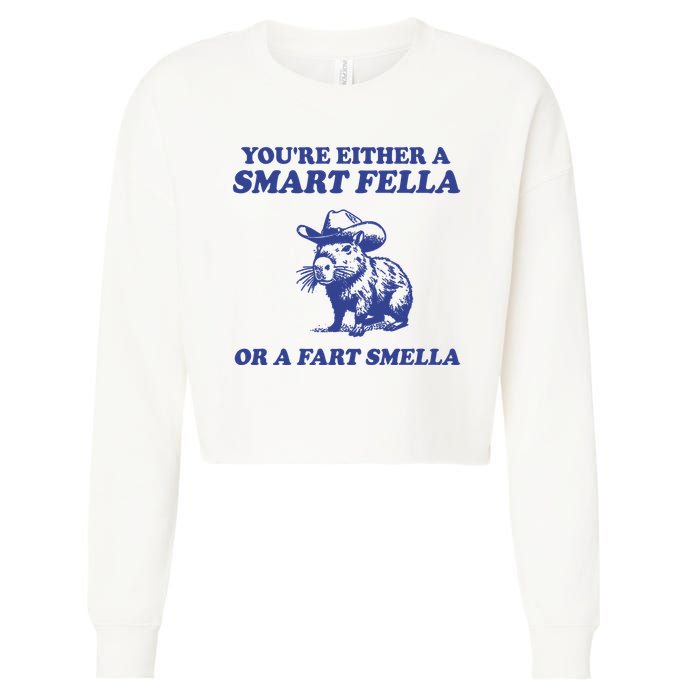 Youre Either A Smart Fella Or A Fart Smella Funny Cropped Pullover Crew