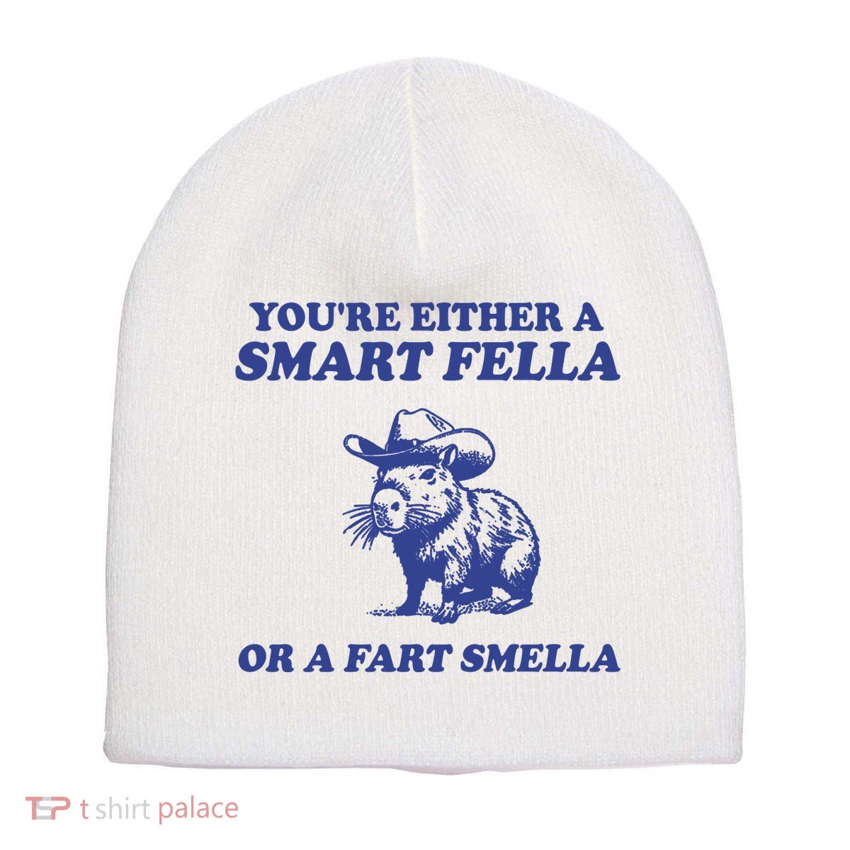 Youre Either A Smart Fella Or A Fart Smella Funny Short Acrylic Beanie