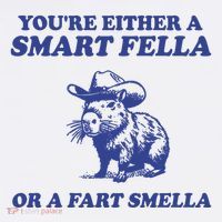 Youre Either A Smart Fella Or A Fart Smella Funny Short Acrylic Beanie