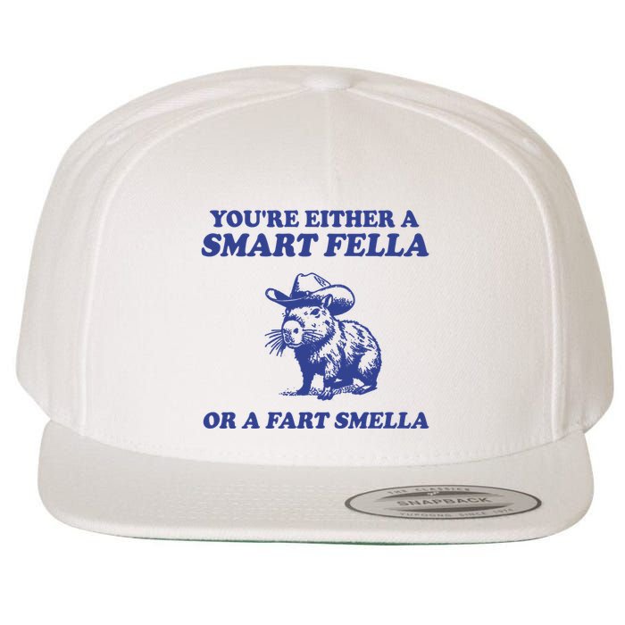 Youre Either A Smart Fella Or A Fart Smella Funny Wool Snapback Cap