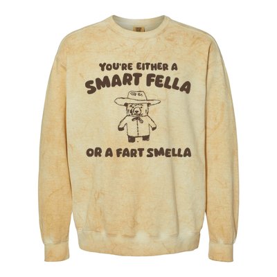 YouRe Either A Smart Fella Or A Fart Smella Colorblast Crewneck Sweatshirt