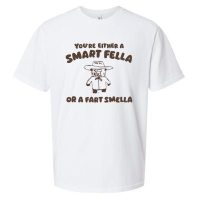 YouRe Either A Smart Fella Or A Fart Smella Sueded Cloud Jersey T-Shirt