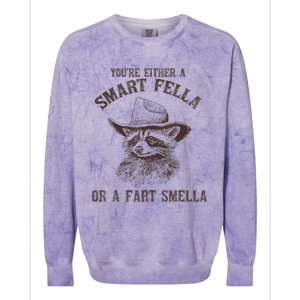 YouRe Either A Smart Fella Or A Fart Smella Funny Raccoon Colorblast Crewneck Sweatshirt