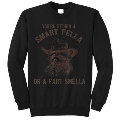 YouRe Either A Smart Fella Or A Fart Smella Funny Raccoon Sweatshirt