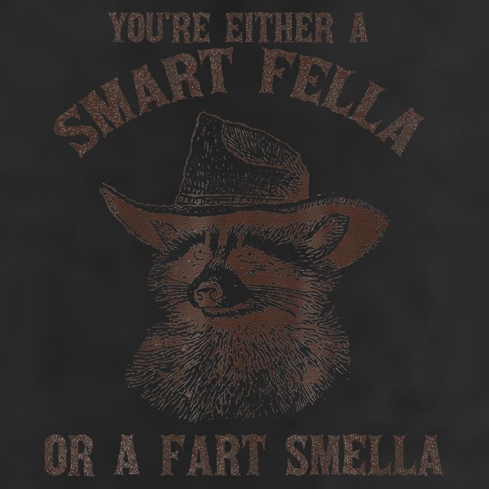 YouRe Either A Smart Fella Or A Fart Smella Funny Raccoon Beanie