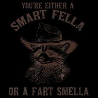 YouRe Either A Smart Fella Or A Fart Smella Funny Raccoon 16 in Basic Backpack