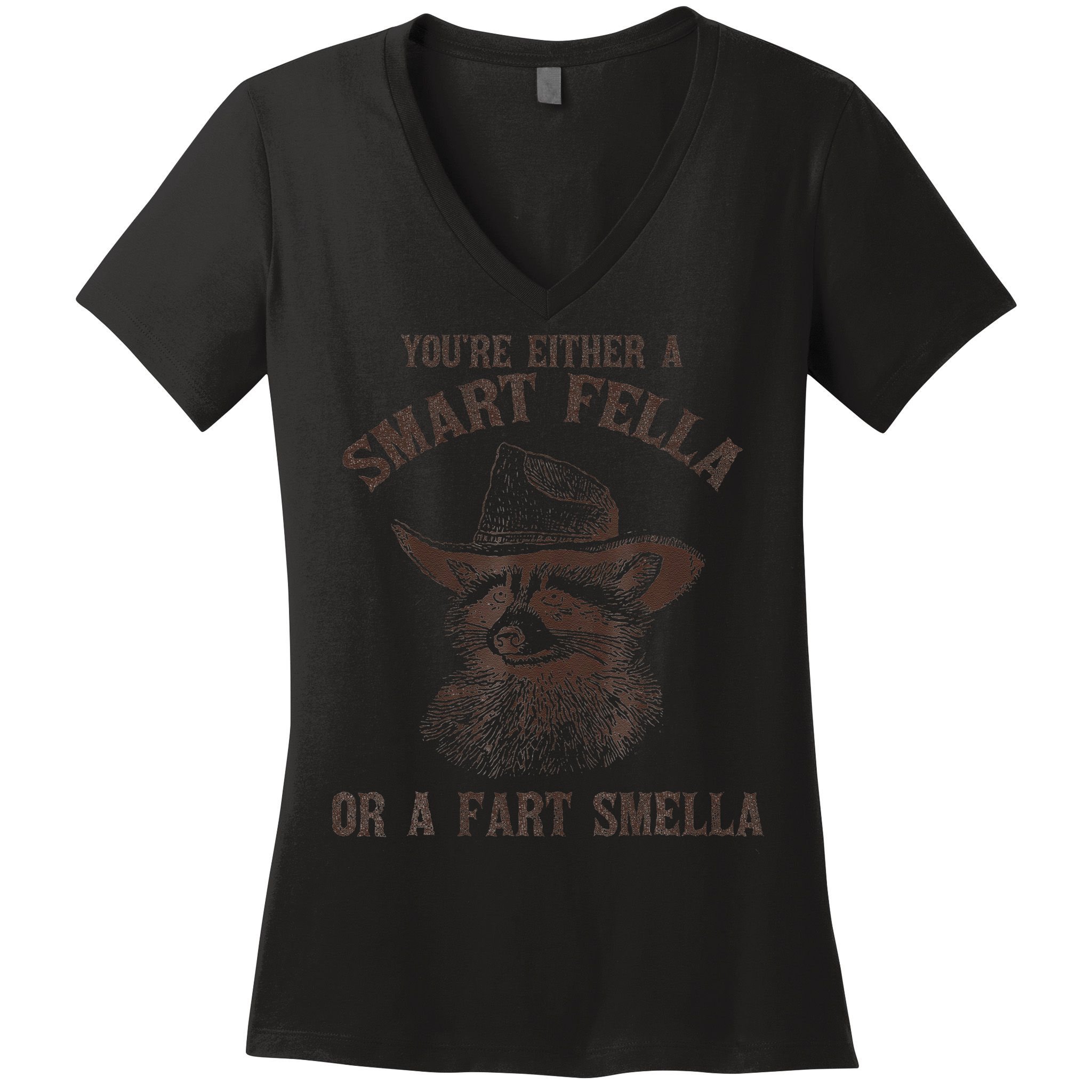 YouRe Either A Smart Fella Or A Fart Smella Funny Raccoon Women's V-Neck T-Shirt