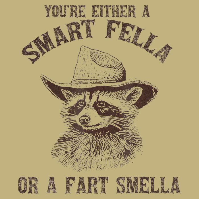 YouRe Either A Smart Fella Or A Fart Smella Funny Raccoon T-Shirt