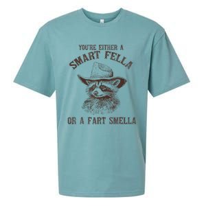 YouRe Either A Smart Fella Or A Fart Smella Funny Raccoon Sueded Cloud Jersey T-Shirt