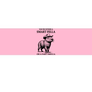 YouRe Either A Smart Fella Or A Fart Smella Capybara Meme Bumper Sticker