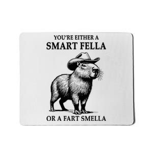 YouRe Either A Smart Fella Or A Fart Smella Capybara Meme Mousepad