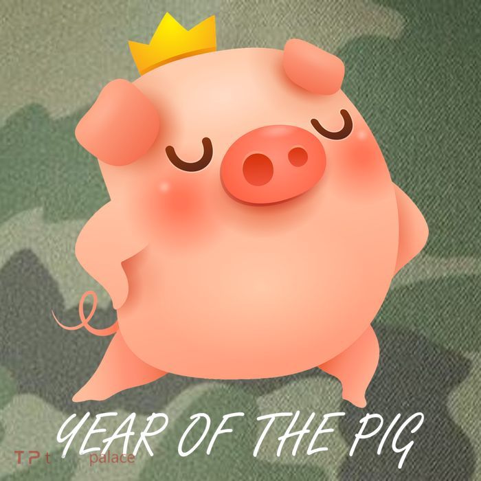 Year Of The Pig Chinese Zodiac Legacy Tie Dye Trucker Hat
