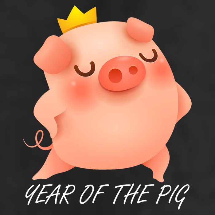 Year Of The Pig Chinese Zodiac Adult Drive Performance Visor