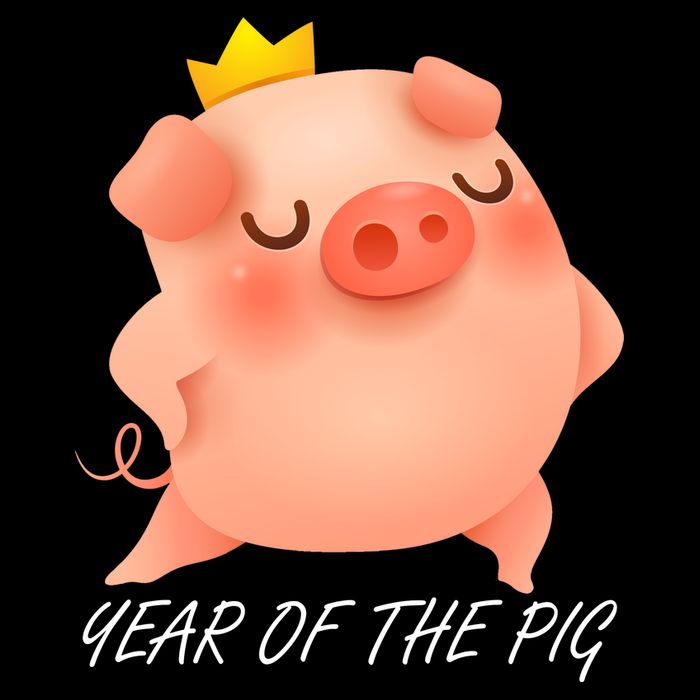 Year Of The Pig Chinese Zodiac Tank Top