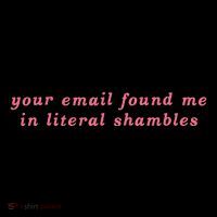 Your Email Found Me In Literal Shambles Funny Joke Premium T-Shirt