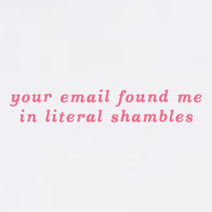 Your Email Found Me In Literal Shambles Funny Joke Garment-Dyed Sweatshirt