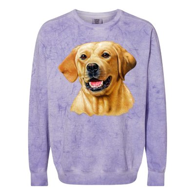 Yellow Lab Colorblast Crewneck Sweatshirt