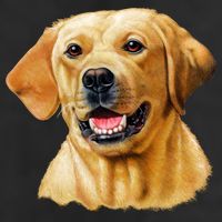 Yellow Lab Cool Comfort Performance Bucket Hat