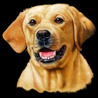 Yellow Lab Baby Bodysuit