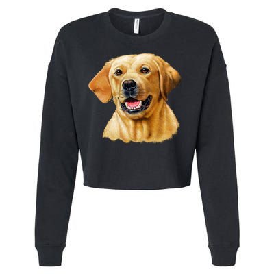 Yellow Lab Cropped Pullover Crew