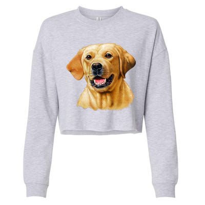 Yellow Lab Cropped Pullover Crew