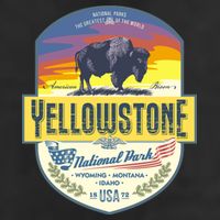 Yellowstone National Park Adult Drive Performance Visor