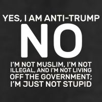 Yes I Am Anti Trump Adult Drive Performance Visor
