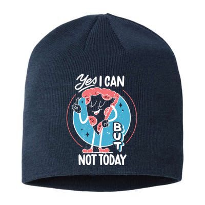 Yes I Can But Not Today Pizza Sustainable Beanie