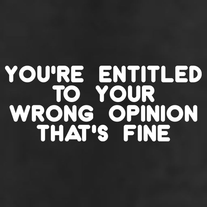 You're Entitled To Your Wrong Opinion That's Fine Funny Gift Garment-Dyed Heavyweight T-Shirt