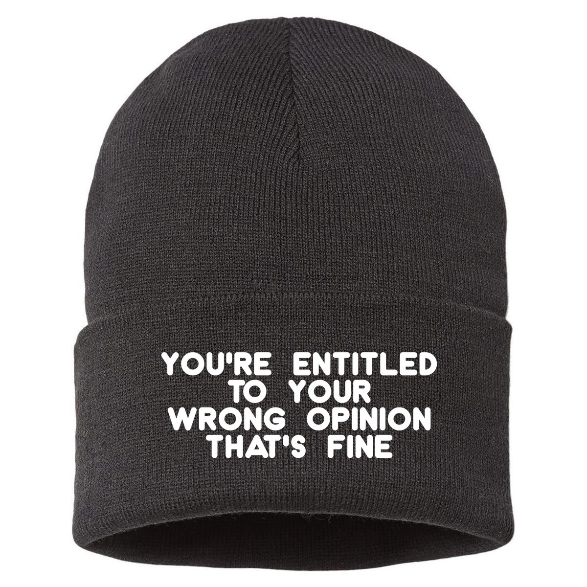 You're Entitled To Your Wrong Opinion That's Fine Funny Gift Sustainable Knit Beanie