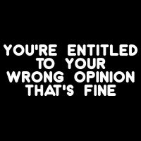 You're Entitled To Your Wrong Opinion That's Fine Funny Gift Toddler T-Shirt