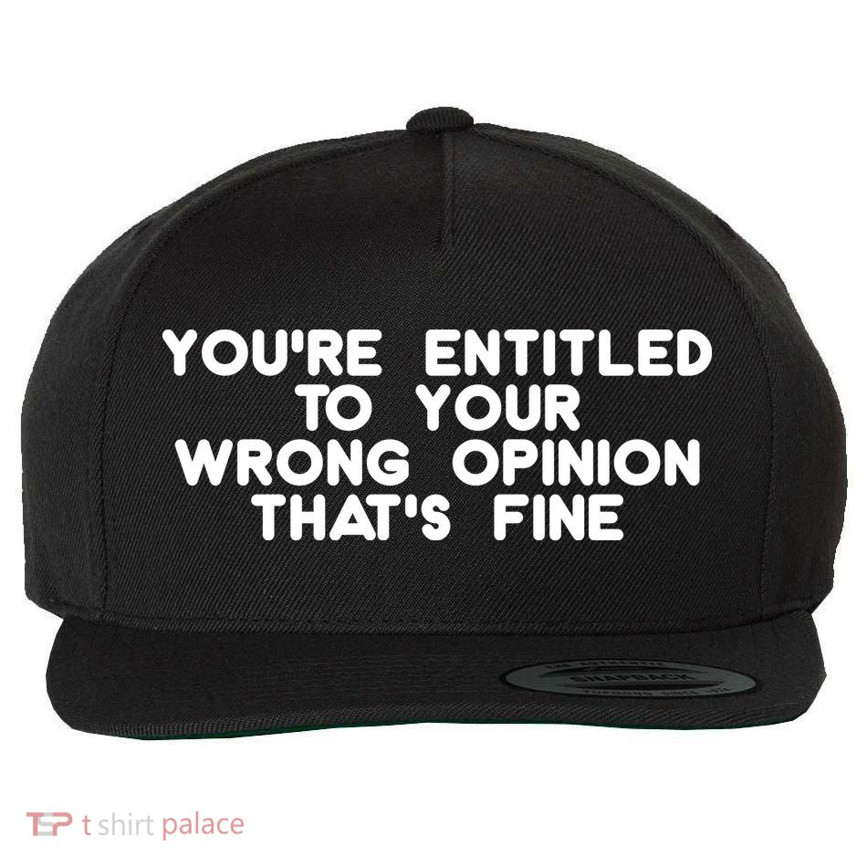 You're Entitled To Your Wrong Opinion That's Fine Funny Gift Wool Snapback Cap
