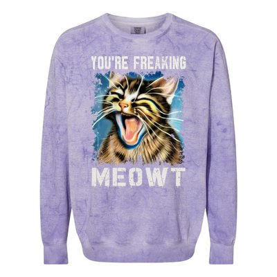 You're Freaking Meowt! Funny Cat Lover Vintage Cat Meow Meme Colorblast Crewneck Sweatshirt