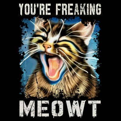 You're Freaking Meowt! Funny Cat Lover Vintage Cat Meow Meme T-Shirt