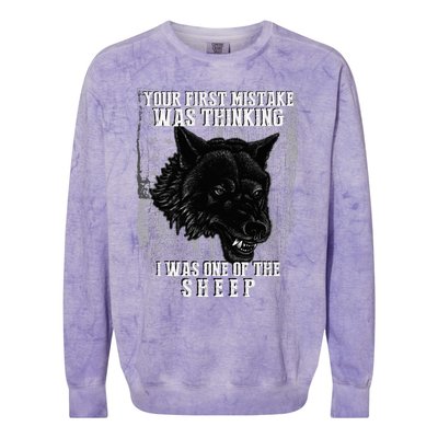 Your First Mistake Was Thinking I Was One Of The Sheep Colorblast Crewneck Sweatshirt